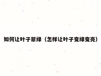 如何让叶子翠绿（怎样让叶子变绿变亮）