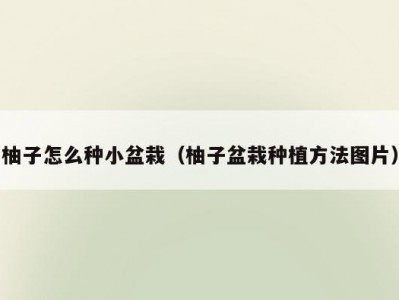 柚子怎么种小盆栽（柚子盆栽种植方法图片）