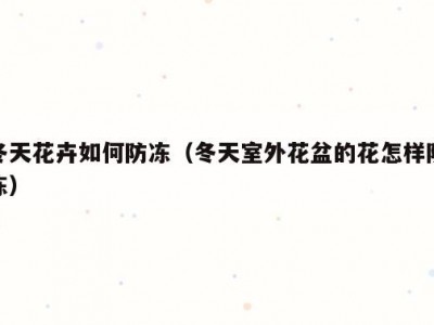 冬天花卉如何防冻（冬天室外花盆的花怎样防冻）