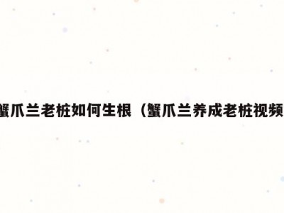蟹爪兰老桩如何生根（蟹爪兰养成老桩视频）