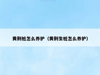 黄荆桩怎么养护（黄荆生桩怎么养护）