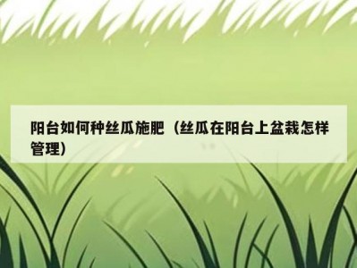 阳台如何种丝瓜施肥（丝瓜在阳台上盆栽怎样管理）