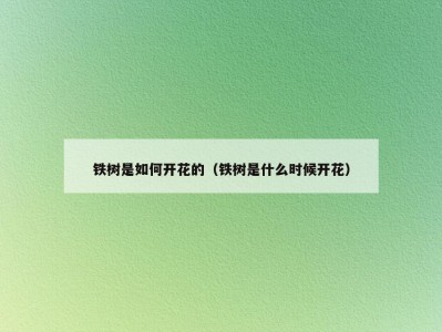 铁树是如何开花的（铁树是什么时候开花）