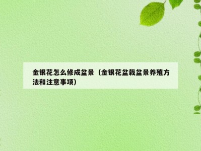 金银花怎么修成盆景（金银花盆栽盆景养殖方法和注意事项）