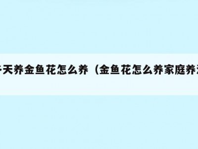 冬天养金鱼花怎么养（金鱼花怎么养家庭养法）