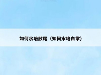 如何水培散尾（如何水培白掌）