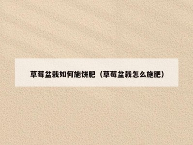 草莓盆栽如何施饼肥（草莓盆栽怎么施肥）
