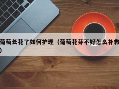 葡萄长花了如何护理（葡萄花芽不好怎么补救）