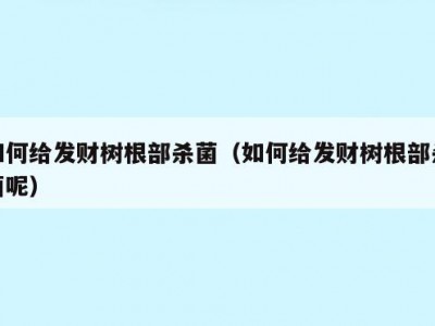 如何给发财树根部杀菌（如何给发财树根部杀菌呢）