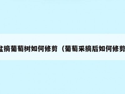 盆摘葡萄树如何修剪（葡萄采摘后如何修剪）