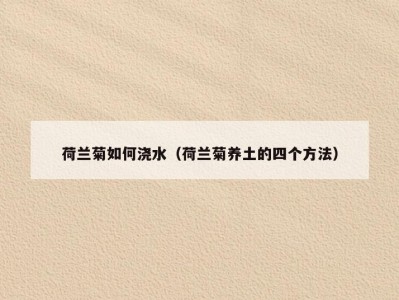 荷兰菊如何浇水（荷兰菊养土的四个方法）