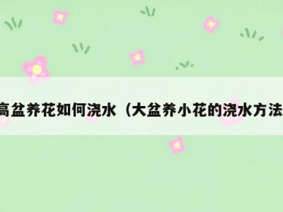 高盆养花如何浇水（大盆养小花的浇水方法）