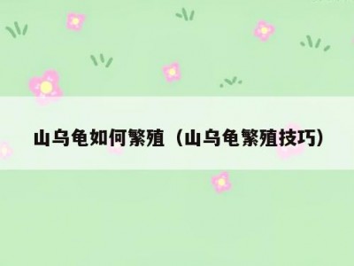 山乌龟如何繁殖（山乌龟繁殖技巧）