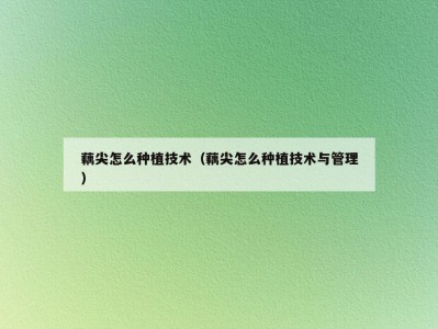藕尖怎么种植技术（藕尖怎么种植技术与管理）