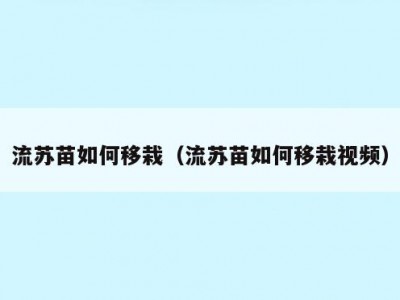 流苏苗如何移栽（流苏苗如何移栽视频）