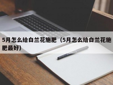 5月怎么给白兰花施肥（5月怎么给白兰花施肥最好）