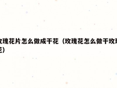 玫瑰花片怎么做成干花（玫瑰花怎么做干玫瑰花）