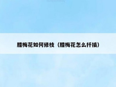 腊梅花如何修枝（腊梅花怎么扦插）