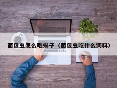 面包虫怎么喂蝎子（面包虫吃什么饲料）
