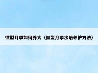 微型月季如何养大（微型月季水培养护方法）