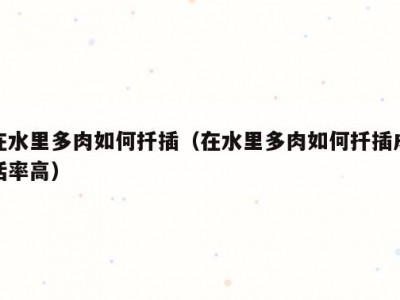 在水里多肉如何扦插（在水里多肉如何扦插成活率高）