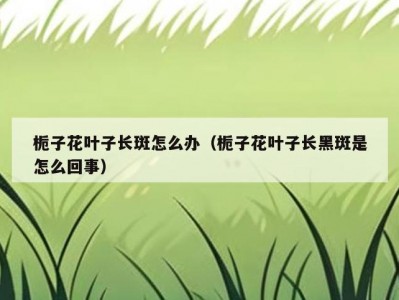 栀子花叶子长斑怎么办（栀子花叶子长黑斑是怎么回事）
