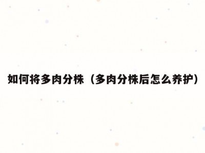 如何将多肉分株（多肉分株后怎么养护）