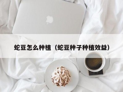 蛇豆怎么种植（蛇豆种子种植效益）