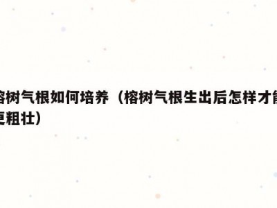 榕树气根如何培养（榕树气根生出后怎样才能更粗壮）