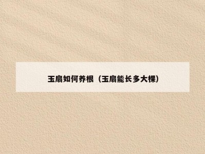 玉扇如何养根（玉扇能长多大棵）