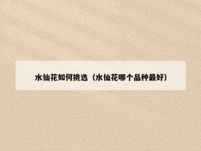 水仙花如何挑选（水仙花哪个品种最好）