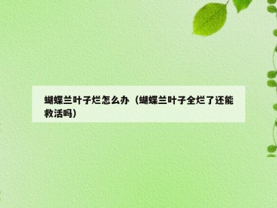蝴蝶兰叶子烂怎么办（蝴蝶兰叶子全烂了还能救活吗）