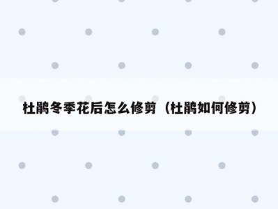 杜鹃冬季花后怎么修剪（杜鹃如何修剪）
