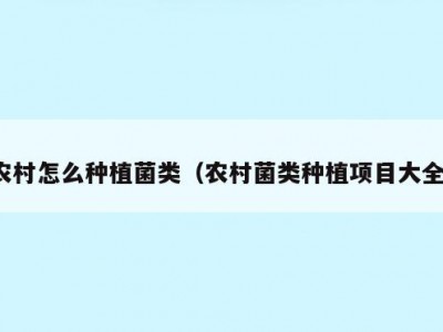 农村怎么种植菌类（农村菌类种植项目大全）