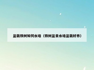盆栽铁树如何水培（铁树盆景水培盆栽好养）