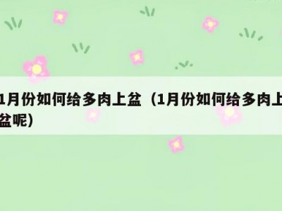 1月份如何给多肉上盆（1月份如何给多肉上盆呢）