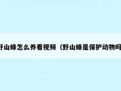 野山蜂怎么养看视频（野山蜂是保护动物吗）