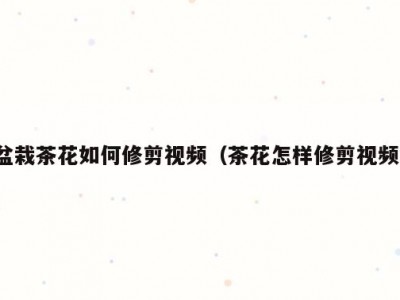 盆栽茶花如何修剪视频（茶花怎样修剪视频）