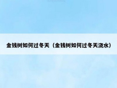 金钱树如何过冬天（金钱树如何过冬天浇水）