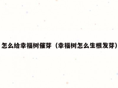 怎么给幸福树催芽（幸福树怎么生根发芽）