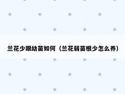 兰花少跟幼苗如何（兰花弱苗根少怎么养）