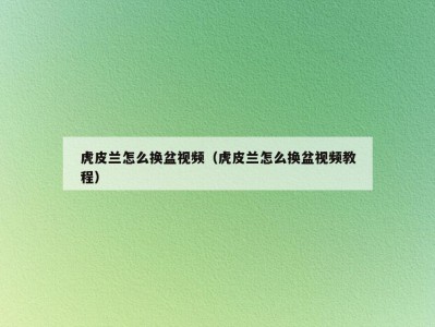 虎皮兰怎么换盆视频（虎皮兰怎么换盆视频教程）