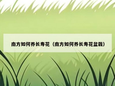 南方如何养长寿花（南方如何养长寿花盆栽）