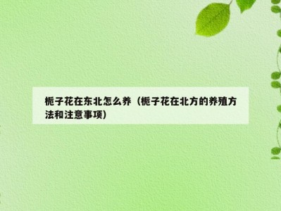 栀子花在东北怎么养（栀子花在北方的养殖方法和注意事项）