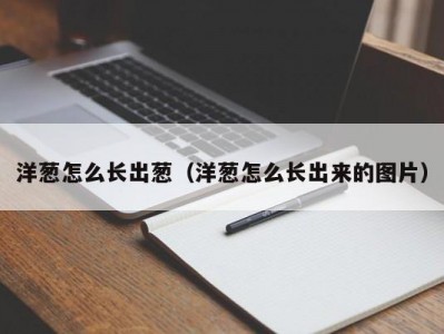 洋葱怎么长出葱（洋葱怎么长出来的图片）