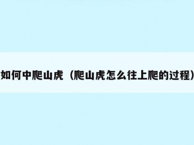 如何中爬山虎（爬山虎怎么往上爬的过程）
