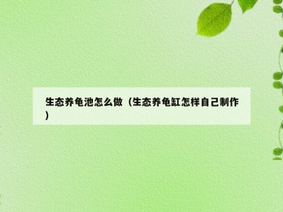 生态养龟池怎么做（生态养龟缸怎样自己制作）