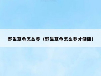 野生草龟怎么养（野生草龟怎么养才健康）