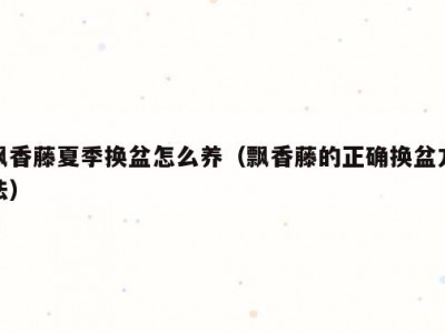 飘香藤夏季换盆怎么养（飘香藤的正确换盆方法）