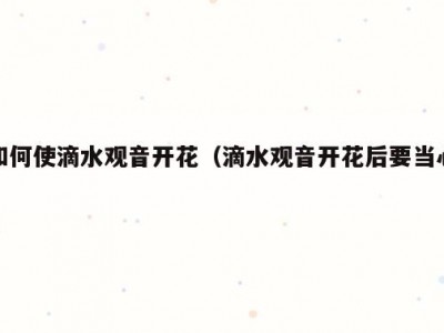如何使滴水观音开花（滴水观音开花后要当心）
